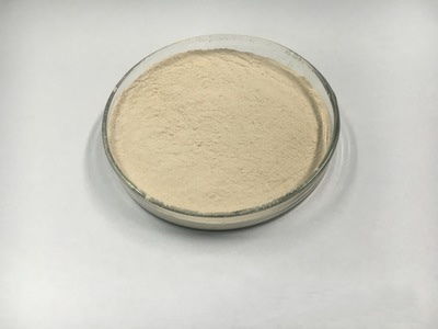 食品用酵母能代替肥料發酵劑嗎